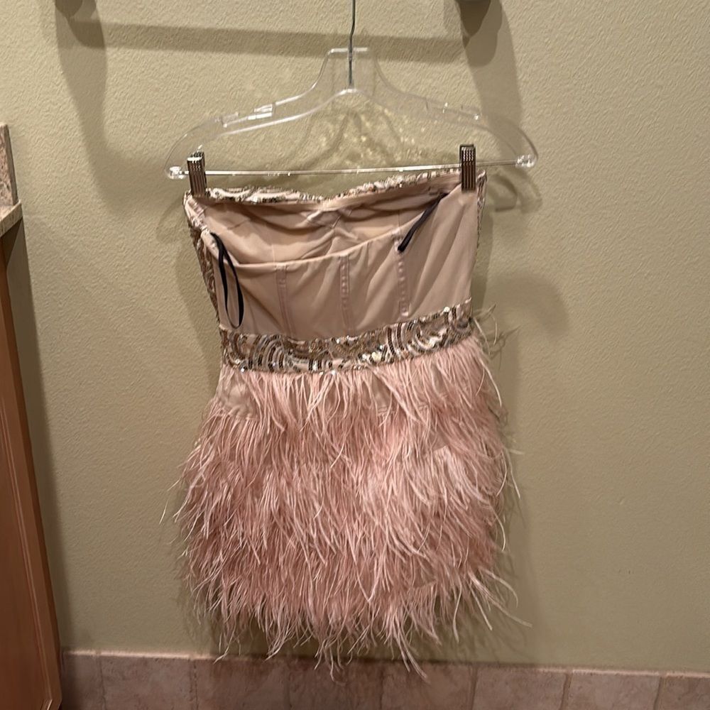 Bebe strapless fringe and sequin dress. Top is gold and the fringe is light pink - Picture 7 of 11